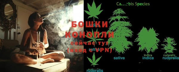крисы Лиски