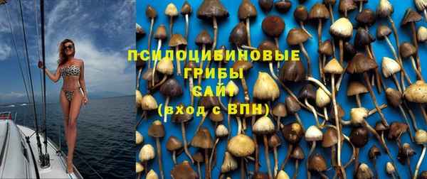 метамфетамин Липки