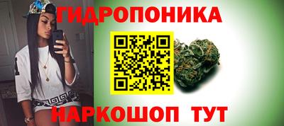 mdma Канаш
