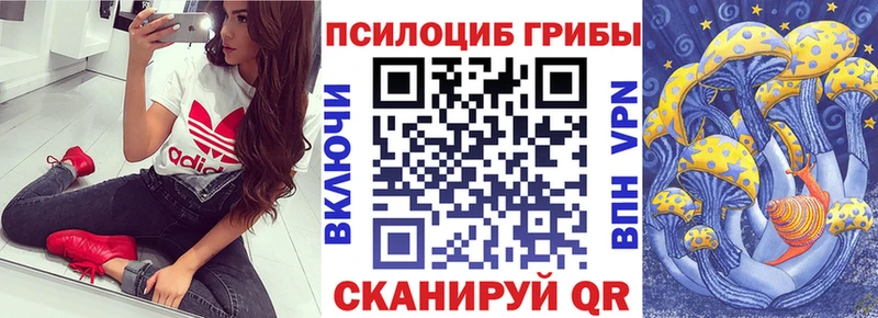 Галлюциногенные грибы Psilocybe  Кирово-Чепецк 