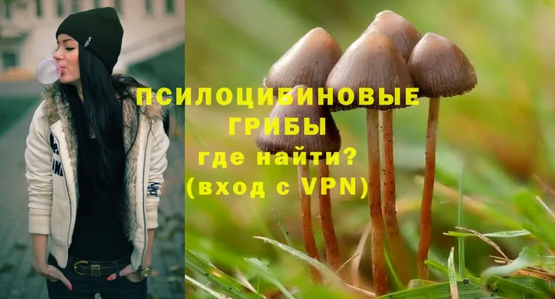 Псилоцибиновые грибы Magic Shrooms  купить   мега сайт  Кирово-Чепецк 