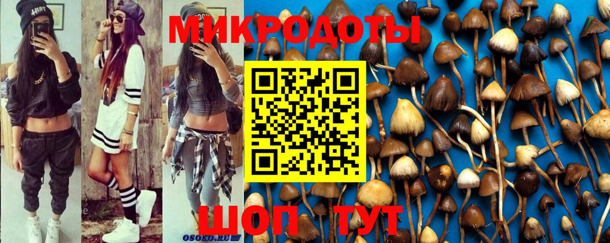 Кирово-Чепецк  Псилоцибиновые грибы Psilocybine cubensis  Вход с VPN 